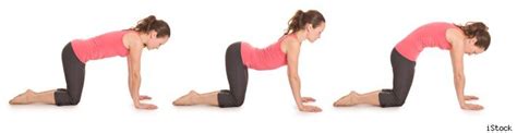 Continue to alternate slowly from cat to cow, inhaling as you move into the full extension of cow, and exhaling as you move into. Simple At-Home Exercises to Remedy Scoliosis - Todays ...