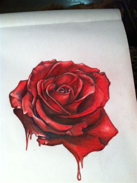 Pencil Drawing Rose Images