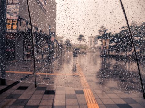 350 Rainy Day Pictures Hq Download Free Images And Stock Photos On