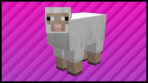 How To Breed Sheep In Minecraft Education