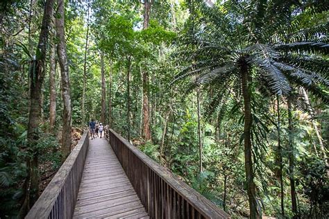 Tripadvisor Daintree Rainforest Cape Tribulation And Rainforest