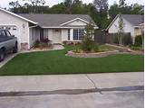 Images of Low Maintenance Front Yard Design