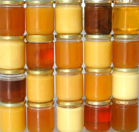 Exploring 36 Types Of Honey Varieties 21 Is Highly Sought After