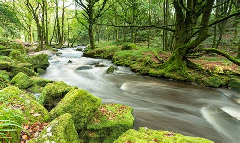 cropped-bigstock-forest-river-panorama-75439642.jpg - SP ...