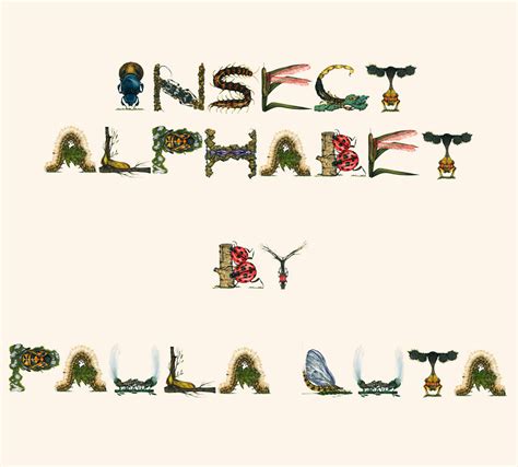 This Insect Alphabet Took Me 2 Years To Complete Bored Panda