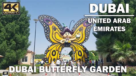 Dubai Tour A Look Around The Dubai Butterfly Garden 4k Youtube