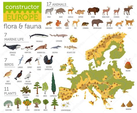 Mapa Mapa Dela Flora Y Fauna Del Continente Europeo Porn Sex Picture