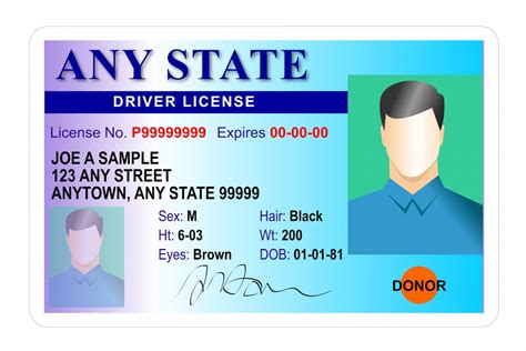 Drivers License Format By State Starpoint Screening