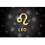 Leo Daily Horoscope  OMTimes Astrology