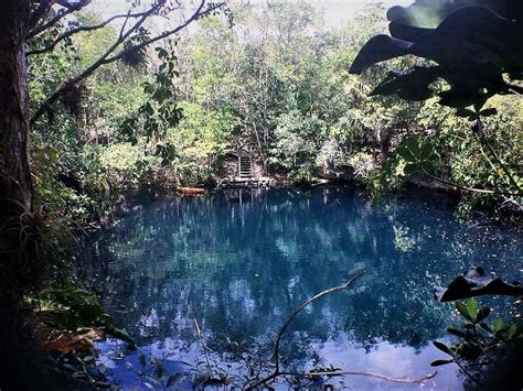 Cenote Angelita Centro De Buceo En Playa Del Carmen