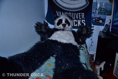 My Panda Fursuit Part 13 — Weasyl