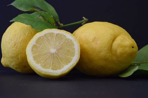 Lemons Fruits Citrus Free Photo On Pixabay Pixabay