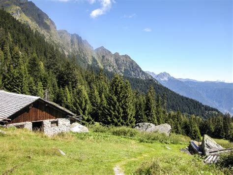 Here is the truth about taser/ecw injury. Wandern in Südtirol - Meraner Höhenweg • organisierte ...