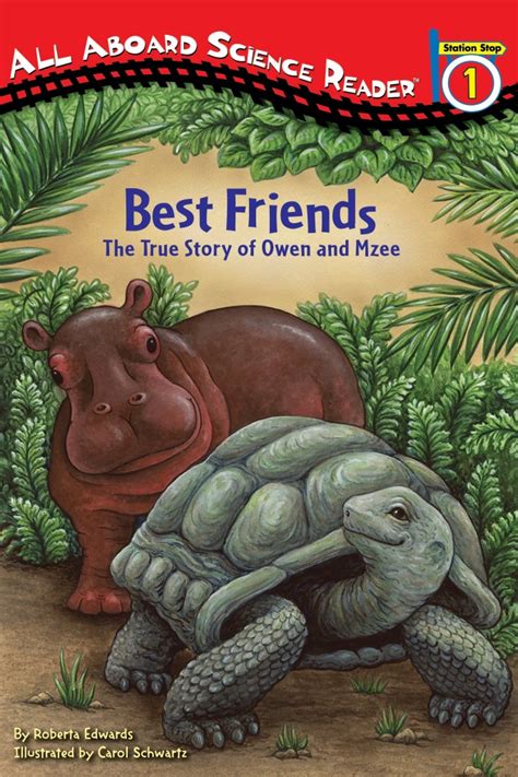 Best Friends The True Story Of Owen And Mzee