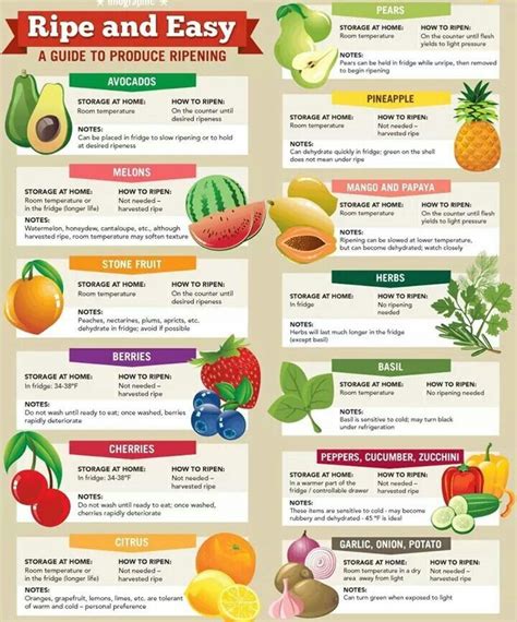 Fruit And Vegetables Ripening Chart Fruit How To Ripen Avocados Fruit Picking