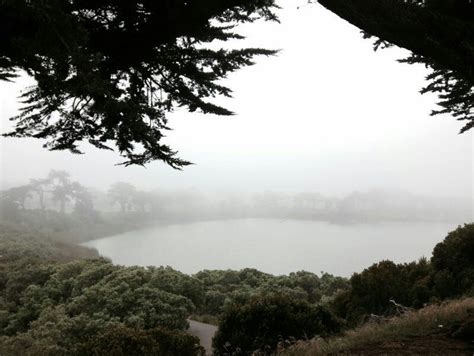 Lake Merced Lakeshore San Francisco Ca Merced Lake San Francisco