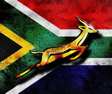 Springbok Rugby South Africa HD Wallpaper Peakpx