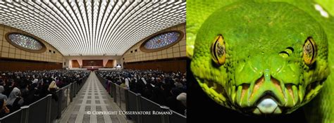Inside the Pope's Reptilian Audience Hall in Vatican City ...