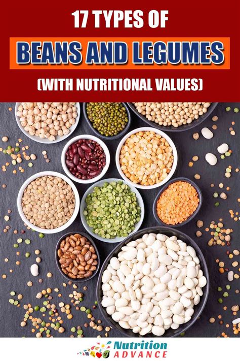 17 types of beans and legumes with nutritional values types of beans nutritional value of