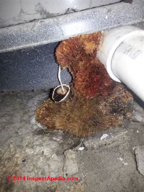Check spelling or type a new query. The Significance & Treatment of Mold on Dirt in Crawl ...
