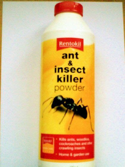 What is the best pest control for ants. Ant Killer Powder (Rentokil) 500g - Pest Control Products UK - DIY Pest Control Products & Supplies