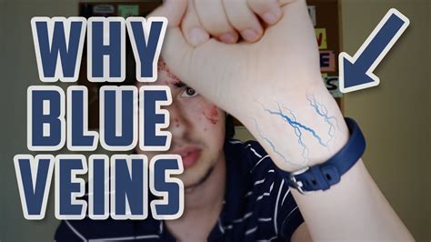 Why Are Our Veins Blue Youtube