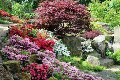 Permalink to Arbustes Pour Jardin Japonais