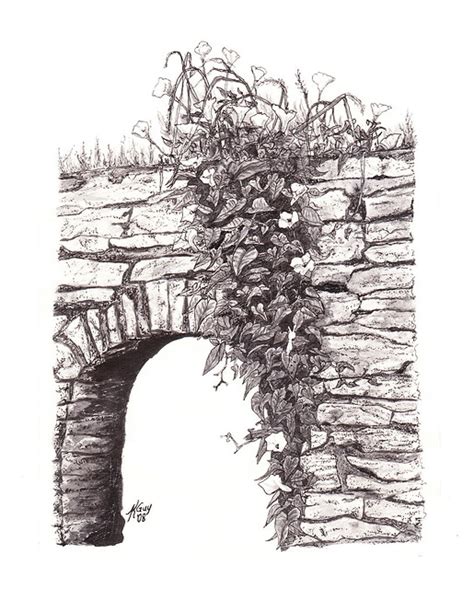 Ivy On Stone Wall Ink Drawing Flickr Photo Sharing