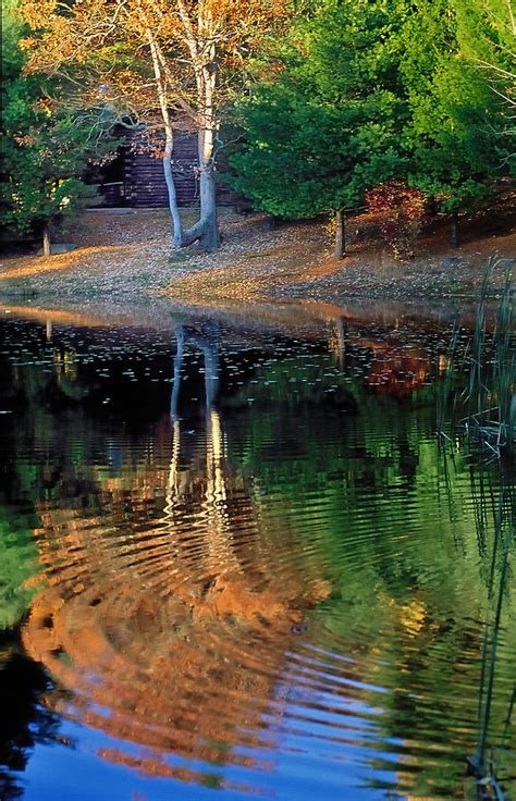 Pond Reflections Photograph By William Mcevoy Fine Art America