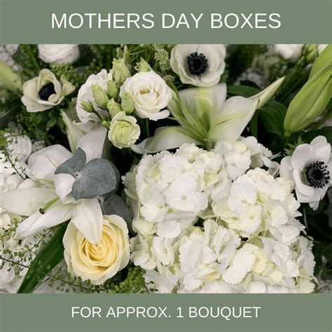 Maybe you would like to learn more about one of these? White Elegance Flower Box | Wholesale Dutch Flowers Direct ...