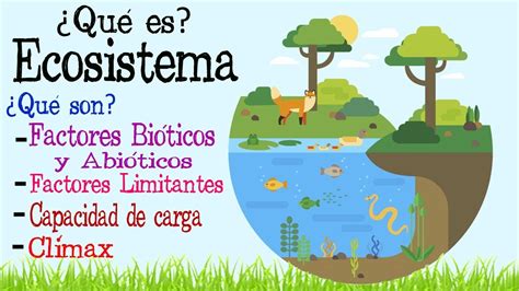 Ecosistema Factores Bioticos Y Abioticos Kulturaupice