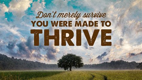 Were Made To Thrive Casting Crowns Life Is An Adventure Good