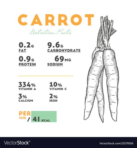 Nutrition Facts Of Raw Carrot Royalty Free Vector Image