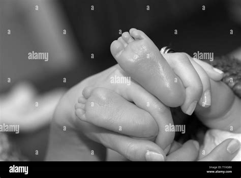 Mother Holding Her Babys Feet Stock Photo Alamy