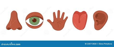 Five Human Senses Organ Set African Americans Nose Ear Hand Tongue