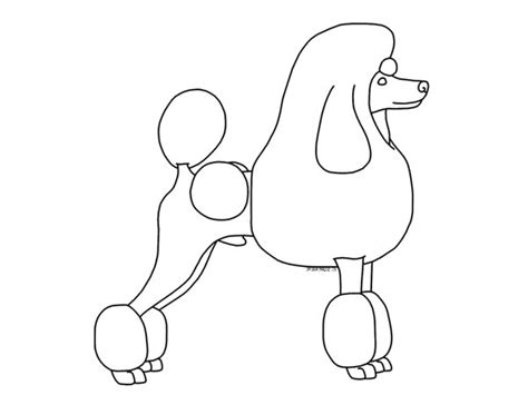 Poodle Template Printable Get Free Templates