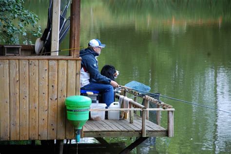 Gîte de pêche avec étang carpe dans les Deux Sèvres