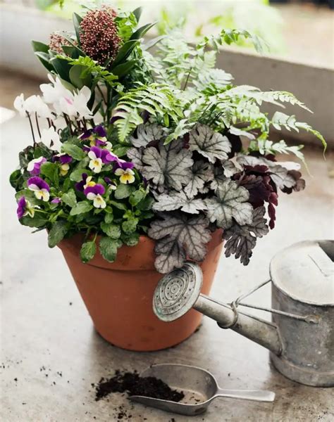 Container Gardening In Cold Climates