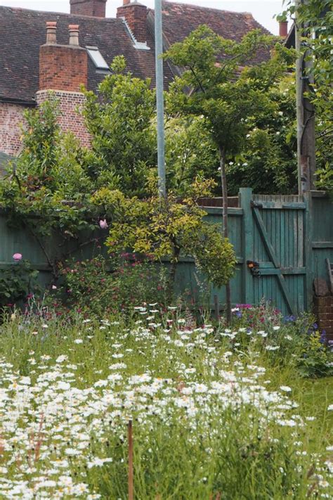 How To Create A Beautiful Mini Meadow Garden The Middle Sized Garden