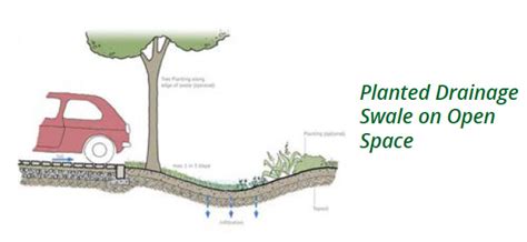 Drainage Swale Design