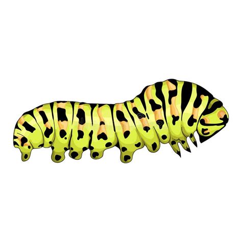 Realistic Caterpillar Clip Art