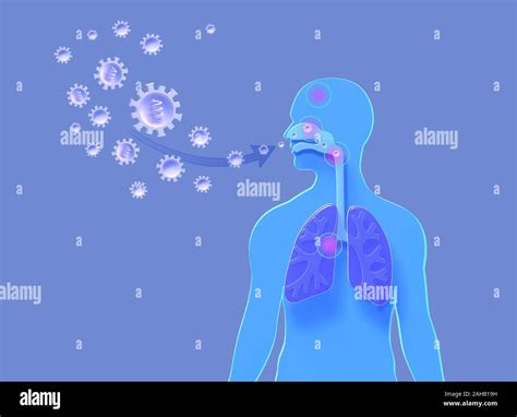 3d Illustration Of The Influenza Virus Entering The Human Body Causing