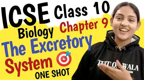 Icse Class 10 Biology Chapter 9 The Excretory System One Shoticse