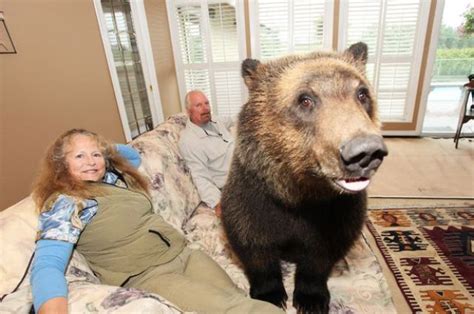 Canadian Couple Has Grizzly Bear Pet 19 Pics