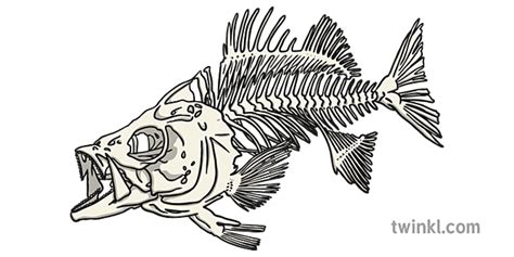Esqueleto De Pescado Illustration