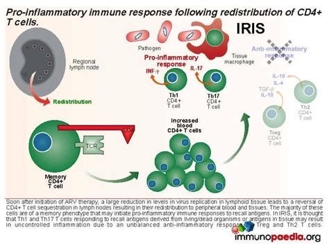 Immune Reconstitution Inflammatory Syndrome Case Study Immunopaedia