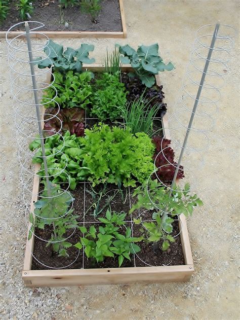 Smart Life raised-beds produce a variety of benefits: A ...