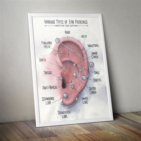 Ear Piercings Chart Etsy