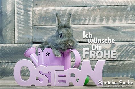 Wünsche dir und deiner familie frohe ostern! Frohe Ostern Wünsche mit Osterhasen in Gießkanne - Sprüche ...