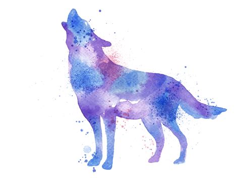 Watercolor Painting Wolf At Explore Collection Of